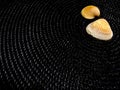 Mussel shell on black woven spiral textile, braided