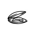 Mussel shell icon. Black line vector isolated icon on white background.