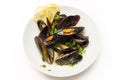 Mussel soup