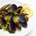 Mussel soup