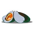The mussel on white background. Royalty Free Stock Photo