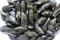 Mussels Royalty Free Stock Photo