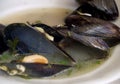 Mussels