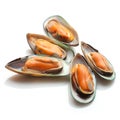 Mussels Royalty Free Stock Photo