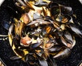 Mussels Royalty Free Stock Photo