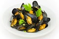 Mussels Royalty Free Stock Photo
