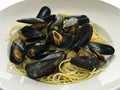 Mussels