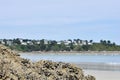 Mussels on beach with ocean and houses in the background