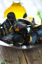 Mussels with buzara sauce Royalty Free Stock Photo