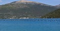 Mussels farm in Croatia, hills in the backround