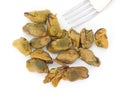 Mussels with fork Royalty Free Stock Photo