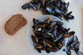 Mussels in france in saint michel`s bay