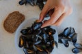 Mussels in france typical food Royalty Free Stock Photo