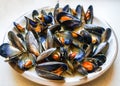 Mussels in garlic butter sauce Royalty Free Stock Photo