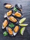 Mussels on the graphite background. Royalty Free Stock Photo