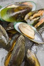 Mussels green in the ice on fish market Royalty Free Stock Photo