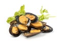 Mussels isolated with parsley Royalty Free Stock Photo