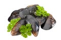 Mussels isolated Royalty Free Stock Photo