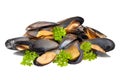 Mussels isolated Royalty Free Stock Photo