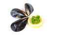 Mussels isolated on white background - Green mussel shell with parsle and lemon Royalty Free Stock Photo