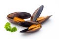 Mussels isolated on white background. Sea food. Royalty Free Stock Photo