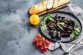 Mussels, molluscs, seaweed, sea plants with spices, on plate, on gray background , with copyspace and space for text