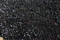 Mussels Mytilus trossulus on a flat rock of intertidal zone. Marine bivalves in nature. Natural texture background.