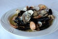 Mussels oyster, fresh, dish, plate