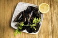 Mussels, parsley and half a lemon on white plates with ice