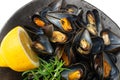 Mussels Pile Closeup, Unshelled Clams, Peeled Mussels, Open Shellfish, Seafood on White Background