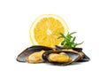 Mussels Pile Isolated, Unshelled Clams, Peeled Mussels, Open Shellfish, Seafood on White Background