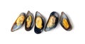 Mussels Pile Isolated, Unshelled Clams, Peeled Mussels, Open Shellfish, Seafood on White Background