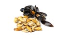 Mussels Pile Isolated, Unshelled Clams, Peeled Mussels, Open Shellfish, Seafood on White Background
