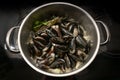 Mussels in a pot with onions and herbs on a black sove, cooking a delicious seafood dish, high angle view from above Royalty Free Stock Photo