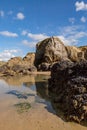 Mussels on rock formations at Perranporth beach in Cornwall, on a sunny day Royalty Free Stock Photo