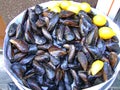 Mussels Seafood