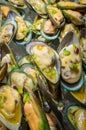 Mussels Served on Ice Royalty Free Stock Photo