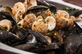 Mussels and shellfish Royalty Free Stock Photo