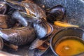 Mussels Steamed in Pot with Butter