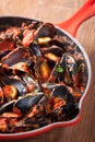 Mussels on stirfried tomato sauce Royalty Free Stock Photo