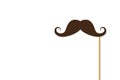 Mustach on stick. Paper moustache for carnival. Flat cartoon mustache for party. Fake mustach with stick for fathers day isolated