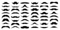 Mustache collection. Vintage moustache isolated on white. Facial hair. Hipster beard. Vector illustration. Royalty Free Stock Photo