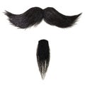 Mustache and goatee beard isolated on white Royalty Free Stock Photo