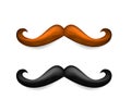 Mustache illustration. Vector brown and black mustaches