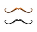 Mustache illustration. Vector brown and black mustaches