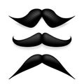 Mustache isolated on white. Black vector vintage moustache. Facial hair.Barber shop. Retro collection. Hipster beard. Royalty Free Stock Photo