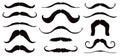 Mustache Set Royalty Free Stock Photo