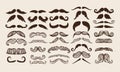 mustache silhouette isolated