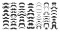 Mustache Types Black Silhouette Vector Icons Set. Handlebar, Chevron, Dali And Fu Manchu, Horseshoe, Imperial, Pencil