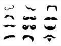 Mustache Types Or Kinds Royalty Free Stock Photo